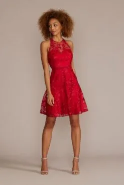 Illusion Lace Halter A-Line Dress