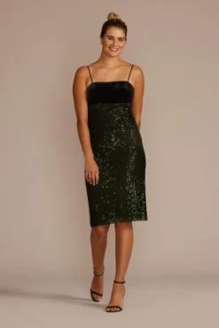 Empire Waist Velvet And Sequin Midi Dress
