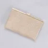 Allover Glitter Metallic Clutch