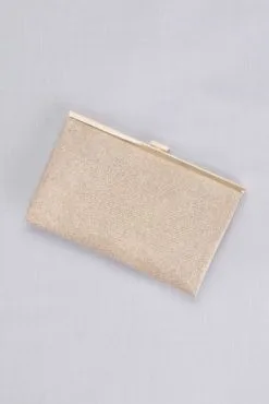 Allover Glitter Metallic Clutch