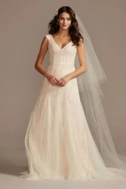 Cap Sleeve Dot Trim Point D'Esprit Wedding Dress