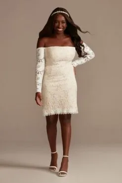 Long Sleeve Off Shoulder Stretch Lace Plus Dress