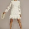 Allover Lace Flounce Hem Long Sleeve Dress