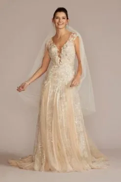 Illusion Embellished Drop Waist Wedding Gown